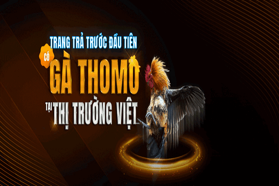 SV388 trả trước là gì?