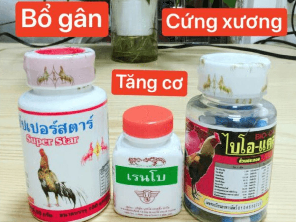 Thuốc bổ xương tăng cơ cho gà chọi