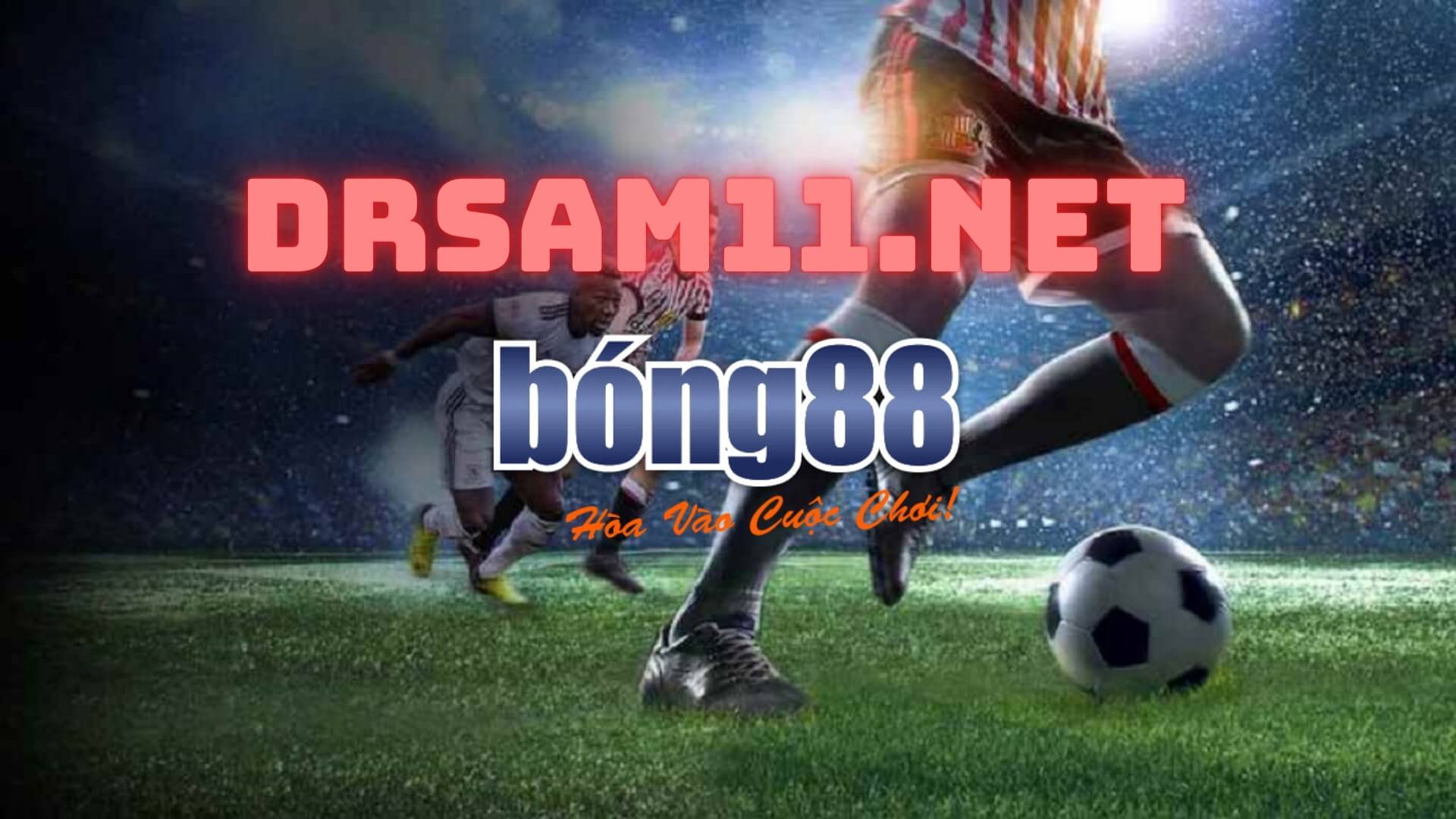 Drsam11.net Link vào Agent Bong88 uy tín cho đại lý