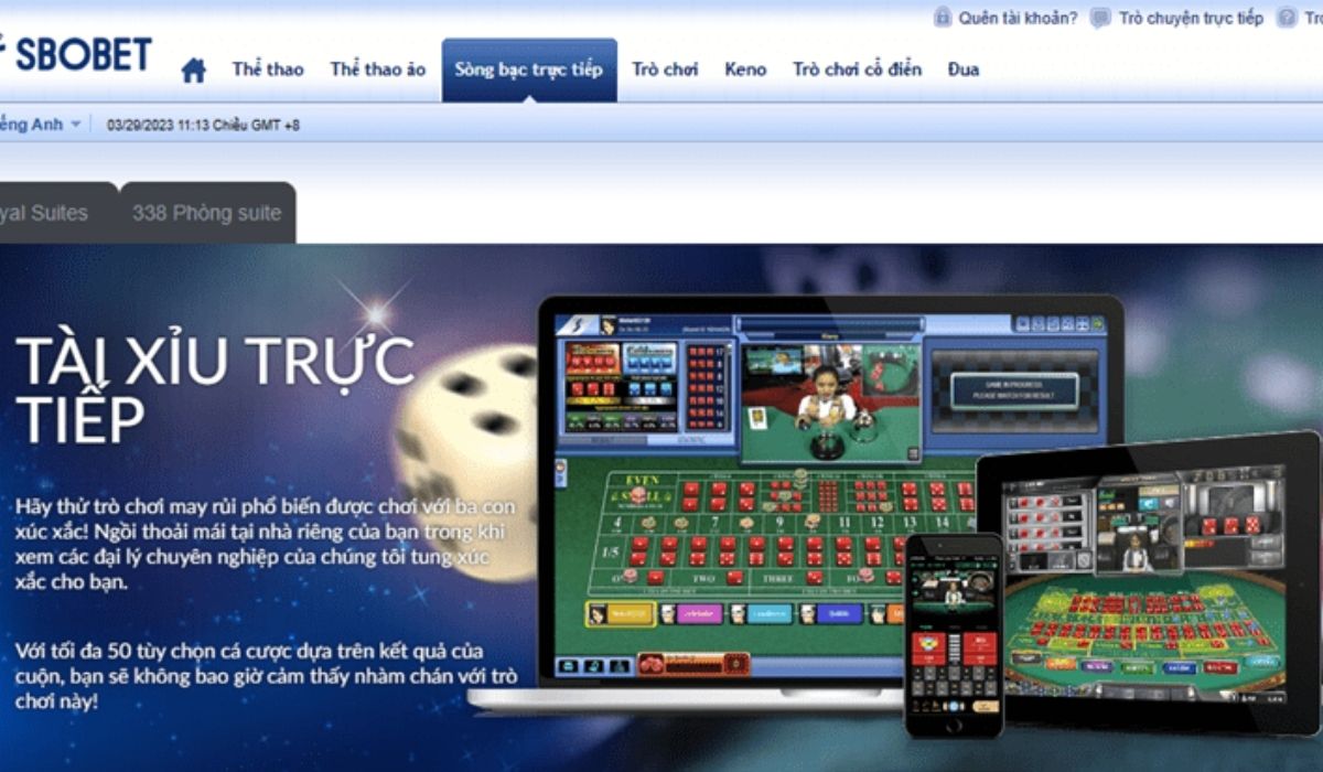 Cá cược casino trực tuyến 