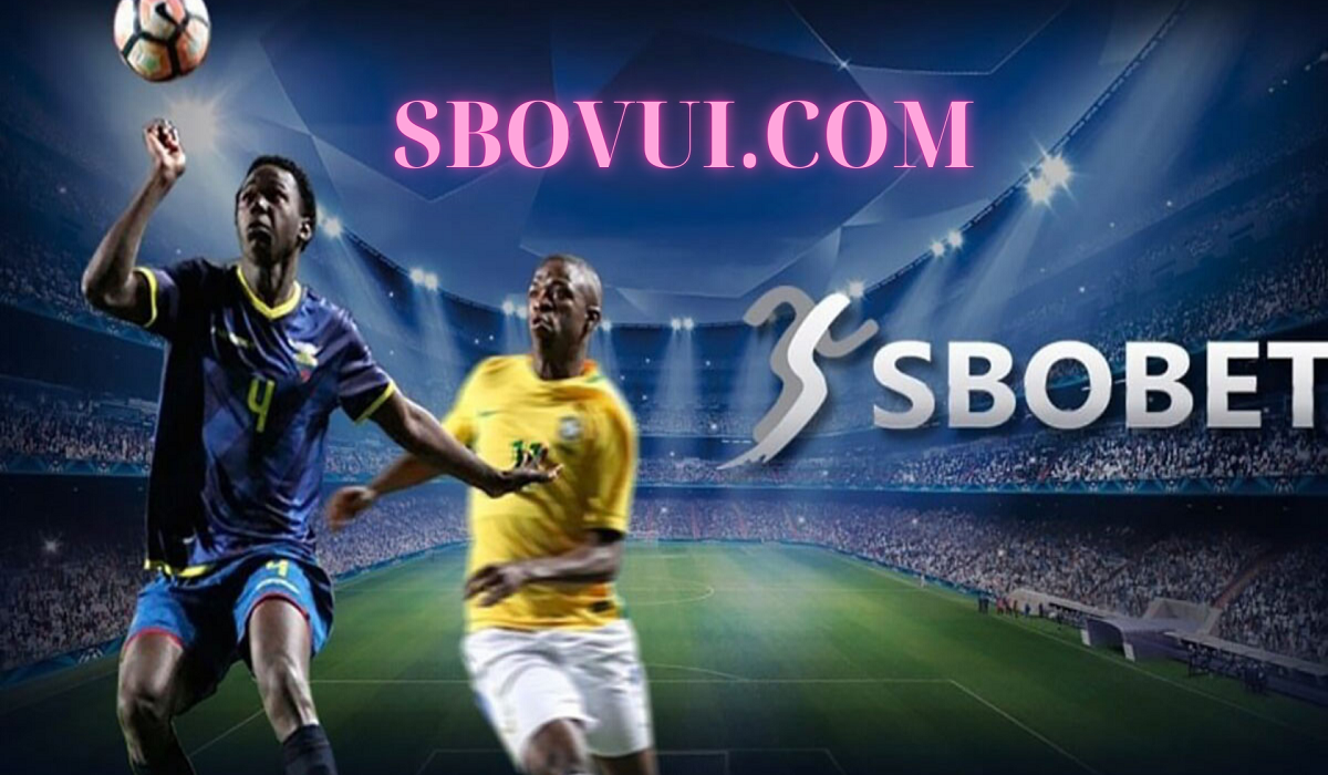 Sbovui.com Trang cá cược Sbobet chính chủ