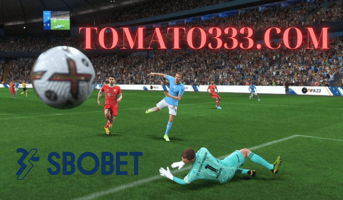 Tomato333.com Link nhà cái Sbobet cá cược