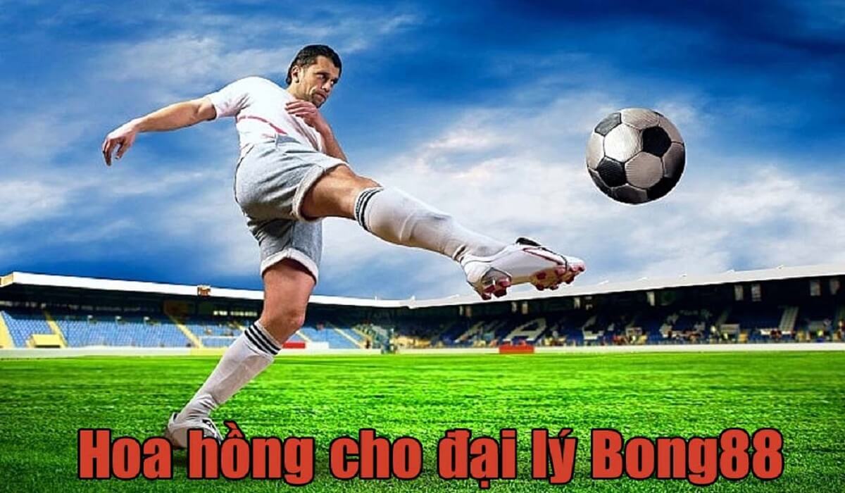 Hoa hồng cao cho dành cho đại lý